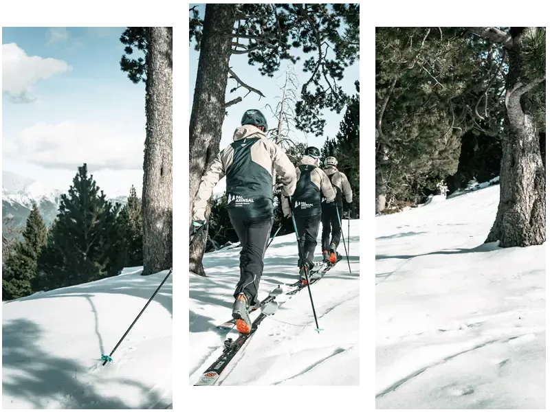 Pal Arinsal mountain skiing